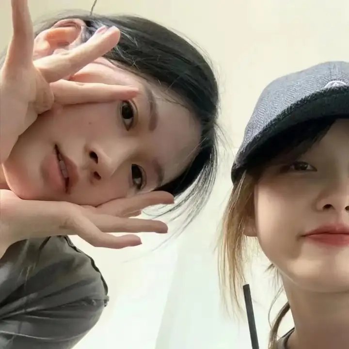 希德尼娅的骑士